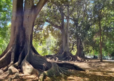 Botanic Park 2021-12-10