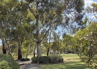 Oaklands Wetlands 05