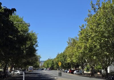 Wellington Square: View of Jeffcott St