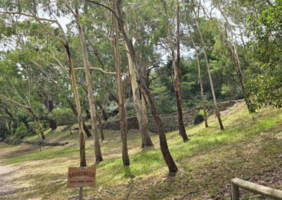 2025-01-20 Bridgewater Inn - beside creek