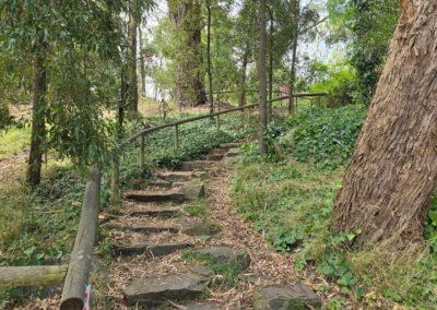 2025-01-20 Bridgewater Inn - steps beside creek