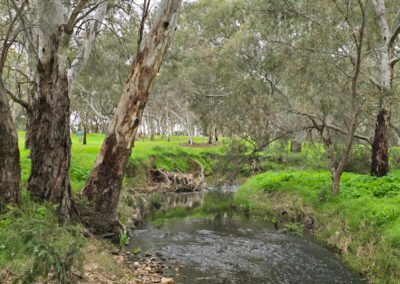 2025-09 12_Felixstow Reserve 09