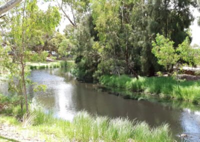 Kirkcaldy Reserve 02