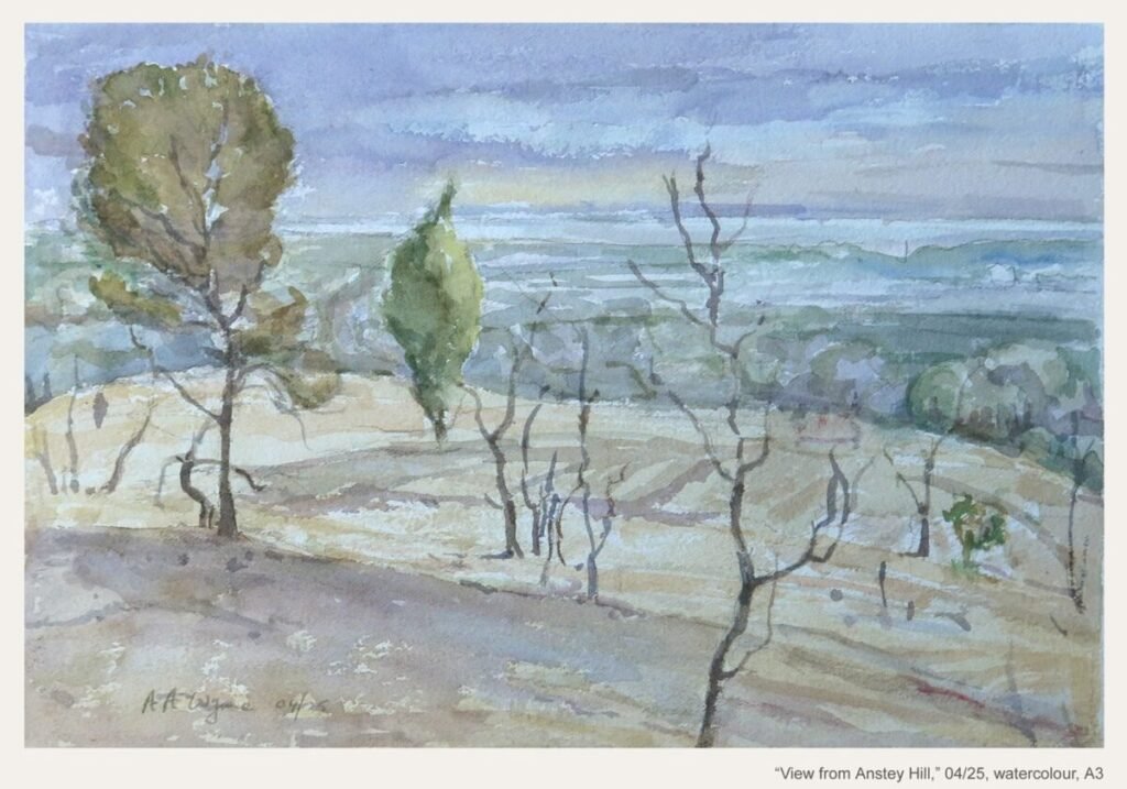 2025-04-25 - Tony - Anstey Hill Quarry Recreation Park - View from Anstey Hill