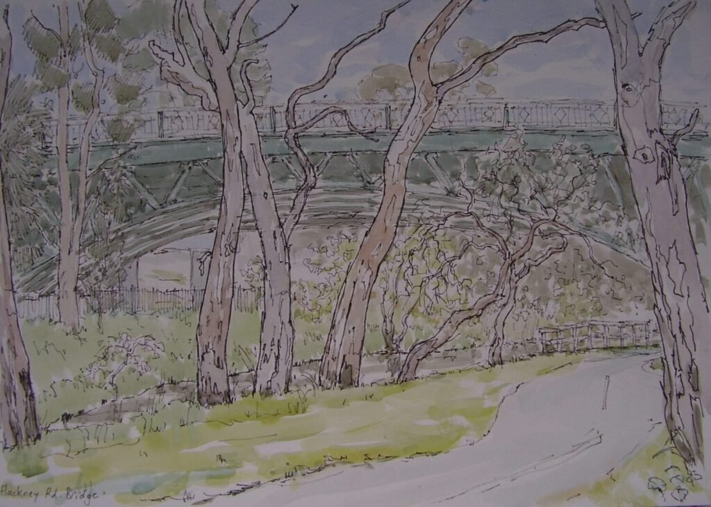2024-09-06 - Margaret - Torrens River near Hackney Road bridge