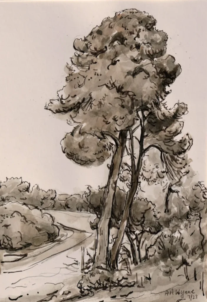 2023-07-07 - Tony - Hope Valley Reservoir, Pine Trees - pen reed and steel and wash