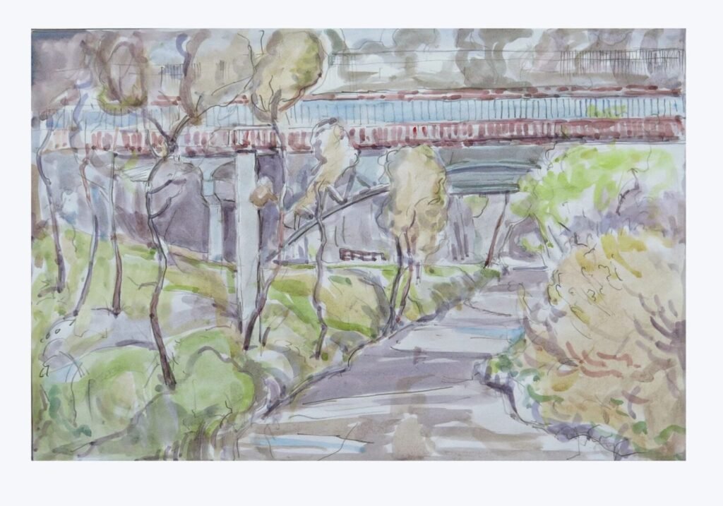 2024-08-30 - Tony - Torrens River near Hackney bridge
