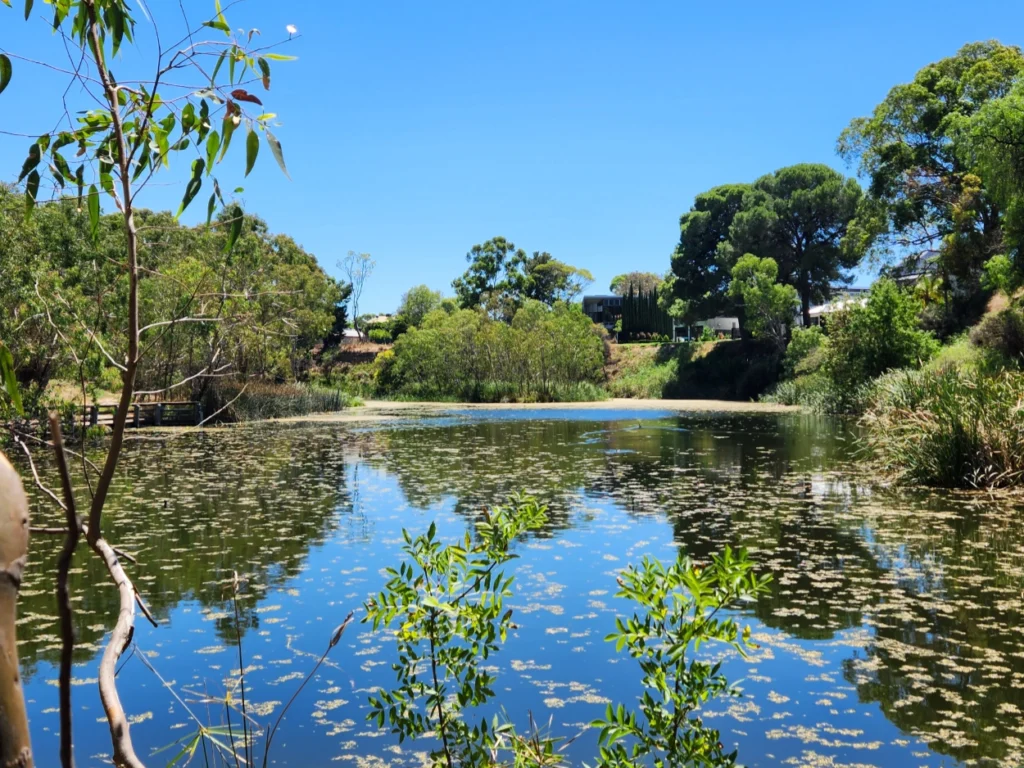 2023-10-27 St Peters Billabong